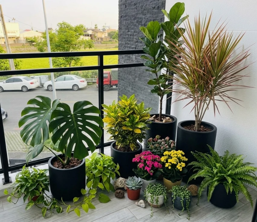 陽台與露台植栽綠化
